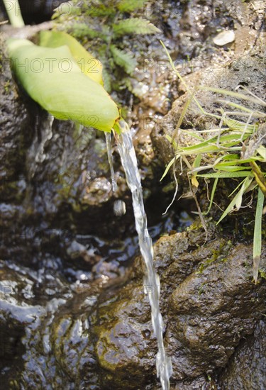 Kalalau Trail, Stream. Photo : Jamie Grill