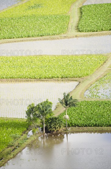 Irrigated field. Photo: Jamie Grill