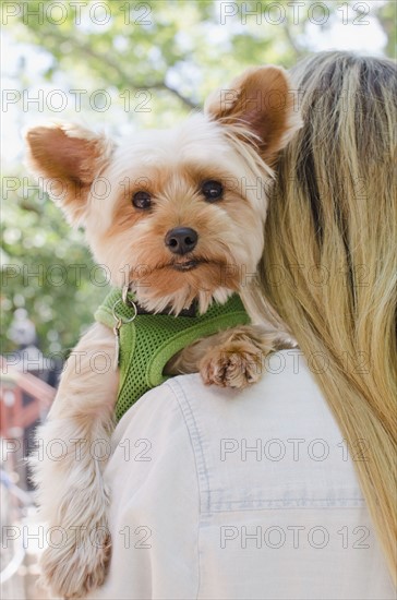 Woman carrying Yorkshire terrier. Photo : Jamie Grill