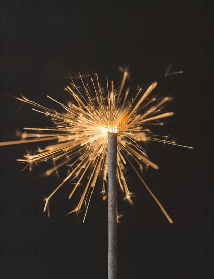 Studio shot of sparkler. Photo : Jamie Grill