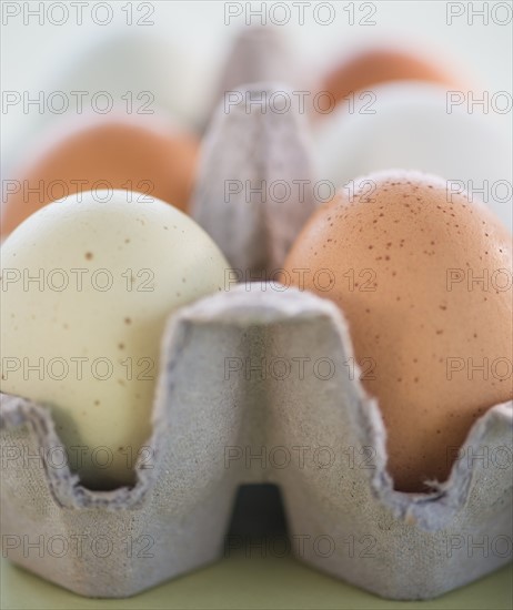 Close-up of eggs in carton. Photo : Daniel Grill