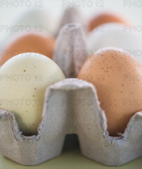 Close-up of eggs in carton. Photo: Daniel Grill