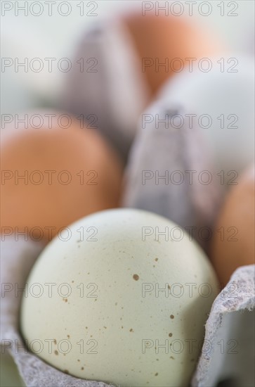 Close-up of eggs in carton. Photo: Daniel Grill