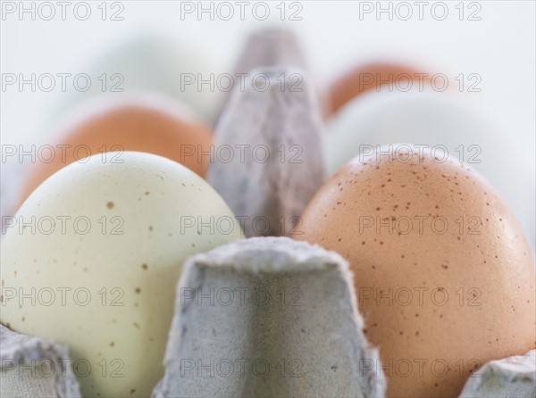 Close-up of eggs in carton. Photo : Daniel Grill