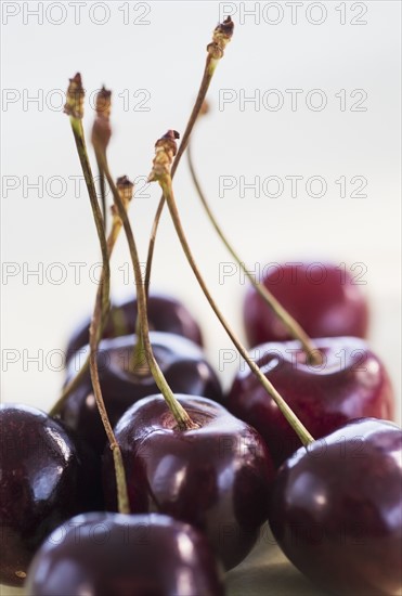 Close-up of bunch of cherries. Photo : Daniel Grill