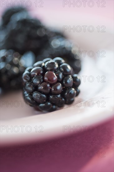 Blackberries on plate. Photo : Daniel Grill