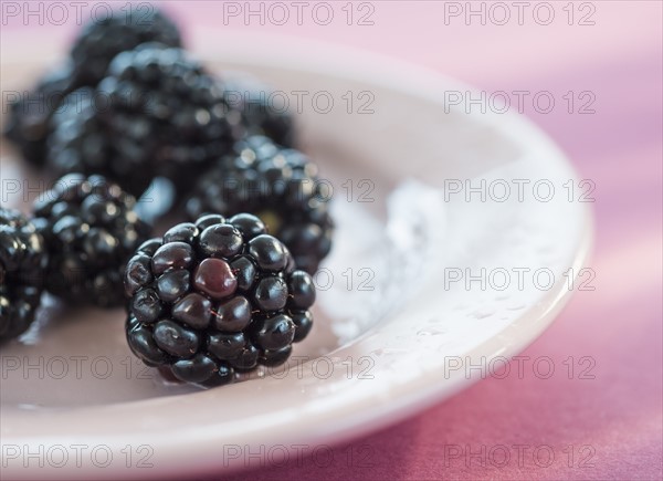 Blackberries on plate. Photo : Daniel Grill