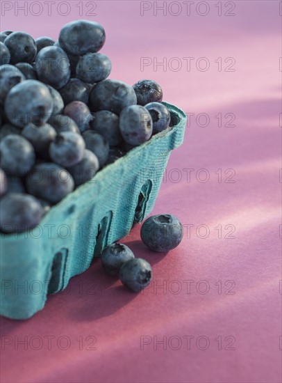 Blueberries in carton box. Photo: Daniel Grill