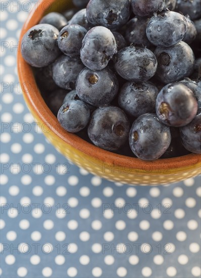 Blueberries in bowl. Photo: Daniel Grill