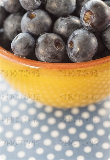 Blueberries in bowl. Photo : Daniel Grill