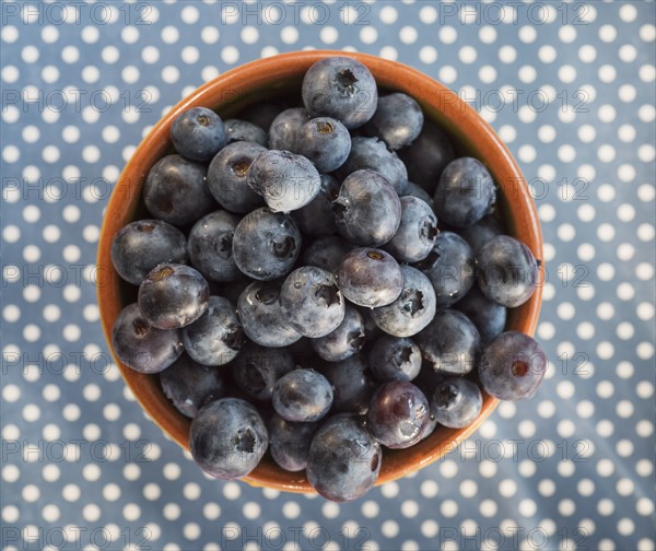 Blueberries in bowl. Photo : Daniel Grill