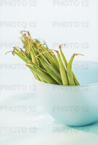 Studio shot of french green beans. Photo : Daniel Grill