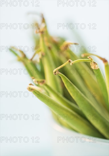 Studio shot of french green beans. Photo : Daniel Grill