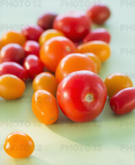 Studio Shot of tomatoes. Photo : Daniel Grill