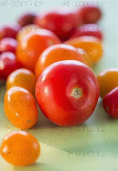 Studio Shot of tomatoes. Photo : Daniel Grill