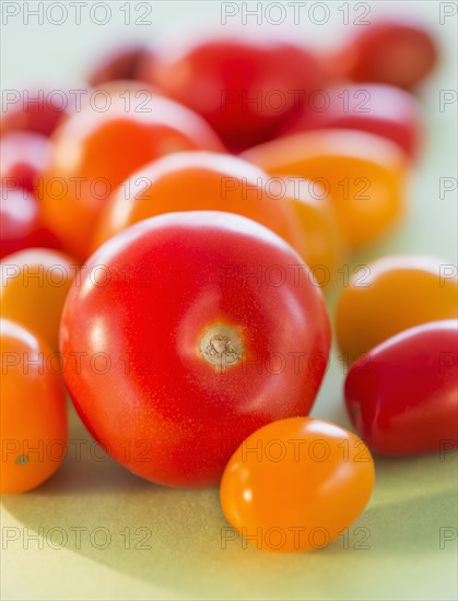 Studio Shot of tomatoes. Photo : Daniel Grill