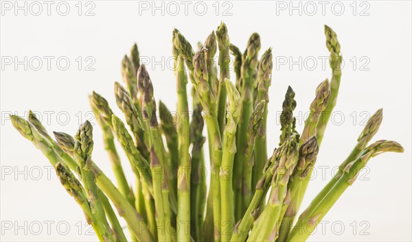 Bunch of asparagus, studio shot. Photo : Daniel Grill