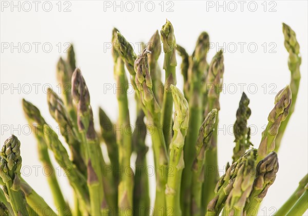 Bunch of asparagus, studio shot. Photo: Daniel Grill