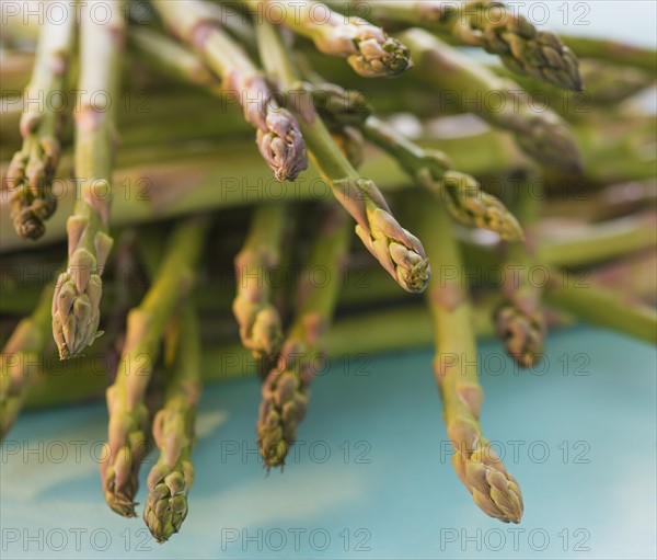 Asparagus, studio shot. Photo: Daniel Grill