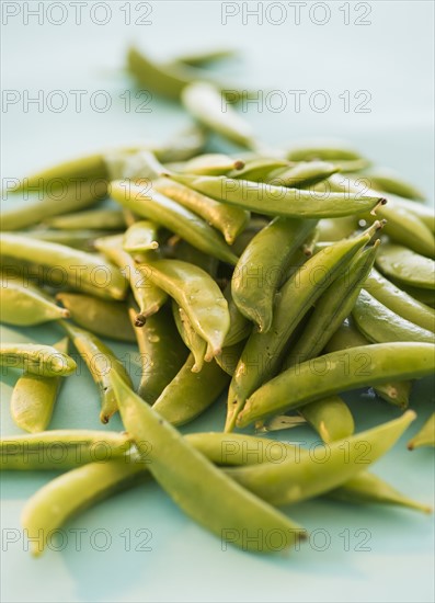 Studio Shot of Sugar Snap Peas. Photo: Daniel Grill