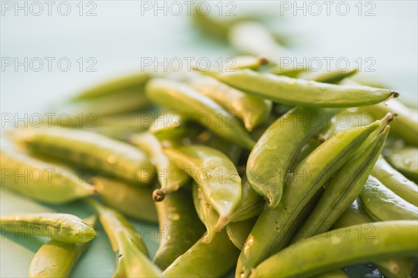 Studio Shot of Sugar Snap Peas. Photo : Daniel Grill