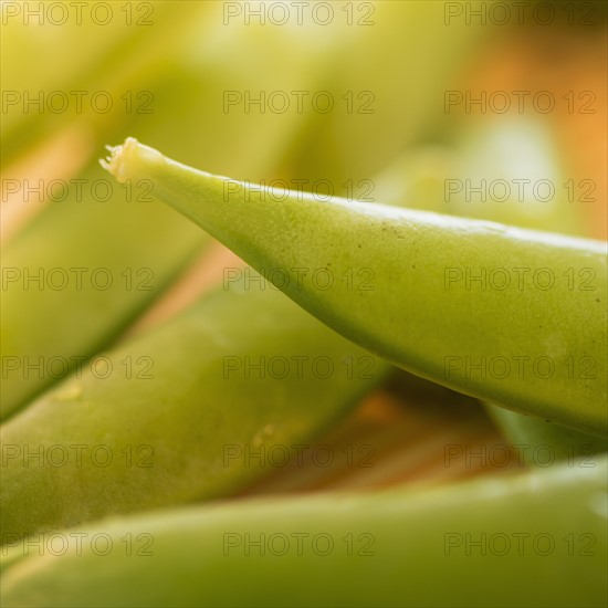 Studio Shot of Sugar Snap Peas. Photo : Daniel Grill