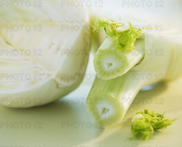 Studio Shot of fennel. Photo: Daniel Grill