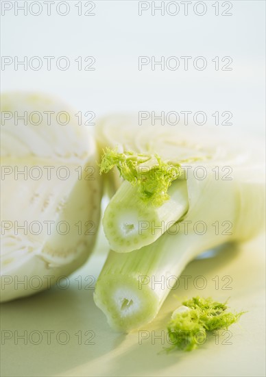 Studio Shot of fennel. Photo : Daniel Grill