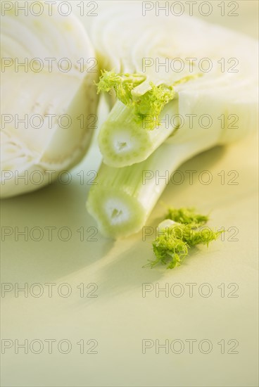 Studio Shot of fennel. Photo : Daniel Grill