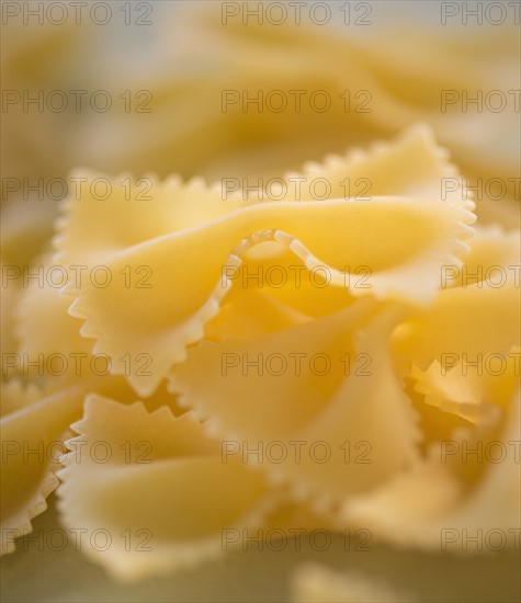 Studio Shot of bow tie pasta. Photo : Daniel Grill