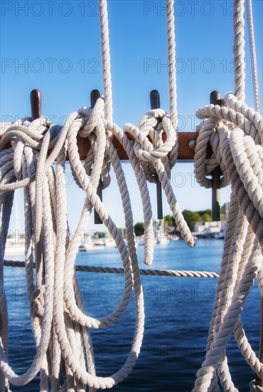 Coiled ropes on yacht deck. Photo: Daniel Grill