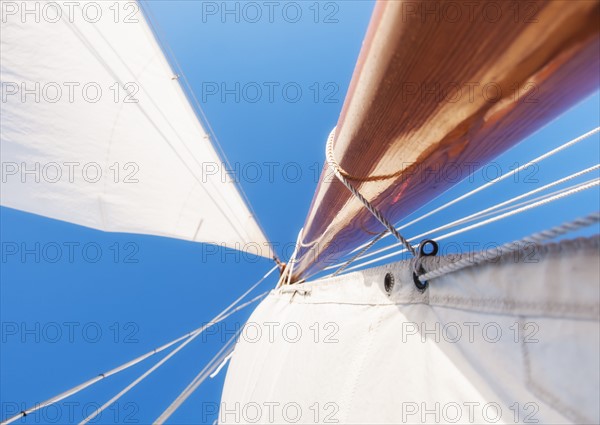 Low angle view of yacht sails and mast. Photo: Daniel Grill