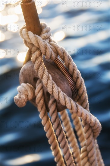 Coiled ropes on yacht deck. Photo: Daniel Grill