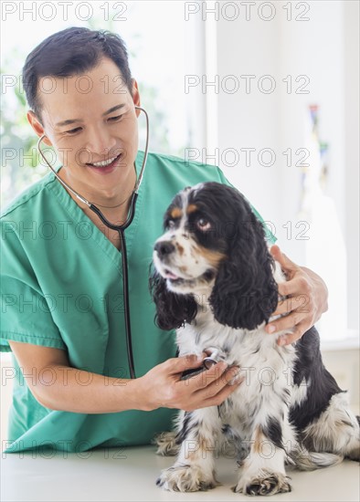 Mid adult vet attending to dog. Photo : Daniel Grill