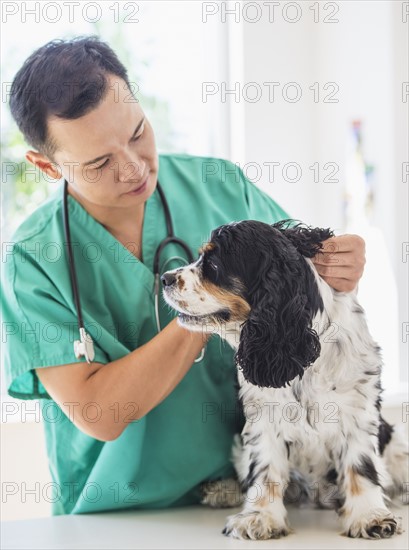 Mid adult vet attending to dog. Photo : Daniel Grill