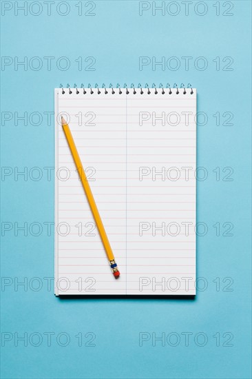 Single yellow sharpened pencil with blank stenographer notebook on blue background. Photo : Kristin Duvall
