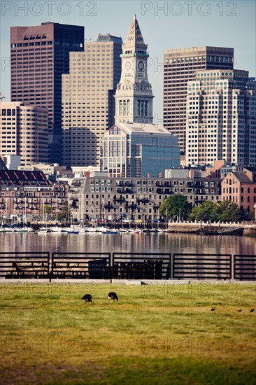 Skyline at sunrise, with grass foreground. Photo : Henryk Sadura