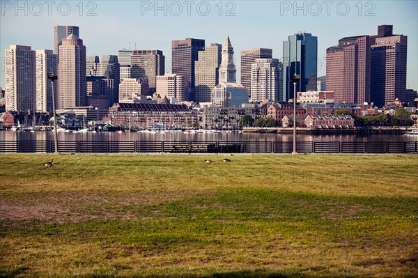 Skyline at sunrise, with grass foreground. Photo : Henryk Sadura