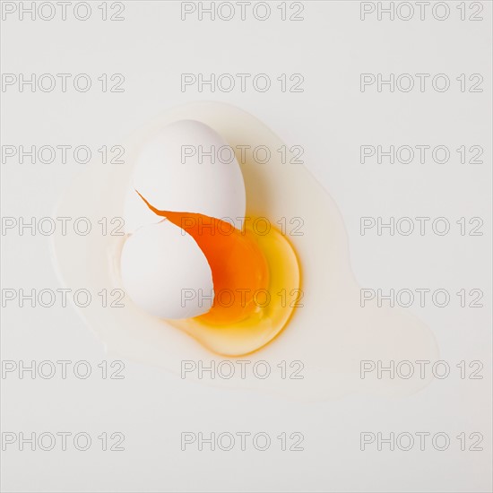 Broken egg. Photo: Jessica Peterson