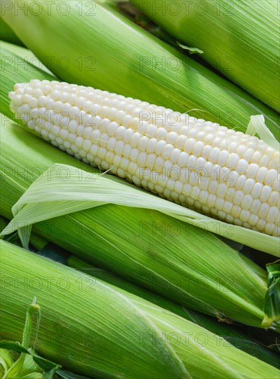 White corn.