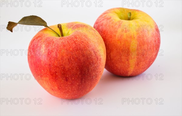 Two apples on white background.