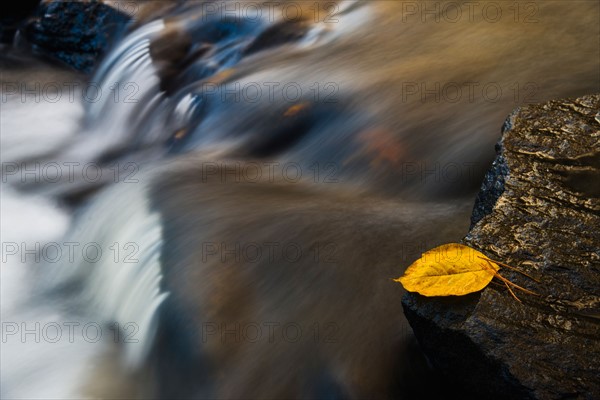 Leaf on edge of waterfall. Valdese, North Carolina.