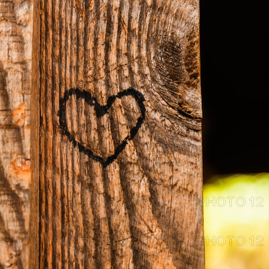 Heart shape carved into plank.