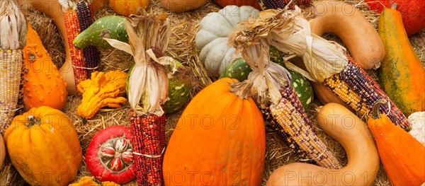 Heap of gourds.