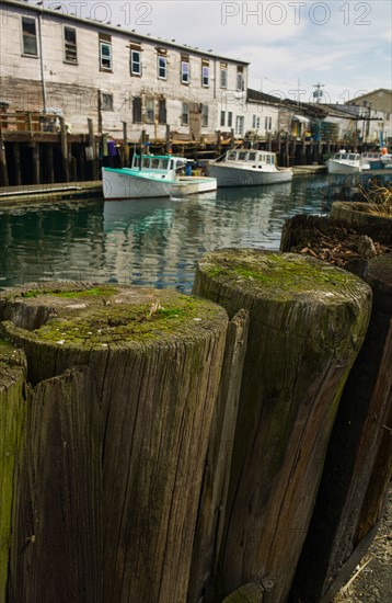 Fishing boats in harbor. Portland, Maine.