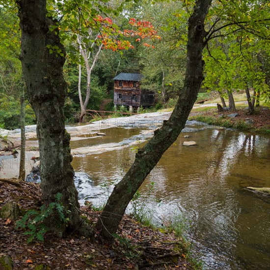 Abandoned mill in forest. Valdese, North Carolina.