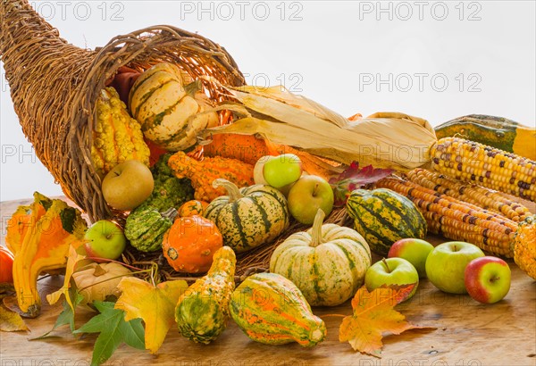 Still life with pumpkins, apples and corn.