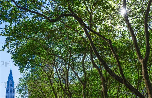 Bryant Park with Chrysler Building in background. New York City, New York.