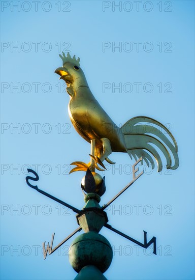 Low angle view of weathervane