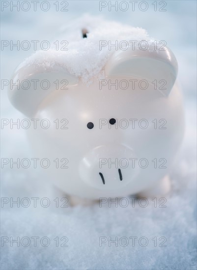 Studio shot of white piggy bank on artificial snow